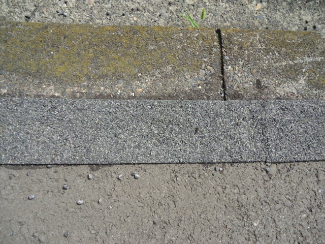 DSC01792.JPG