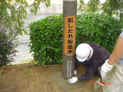 ネイチャーシート（案内標識）